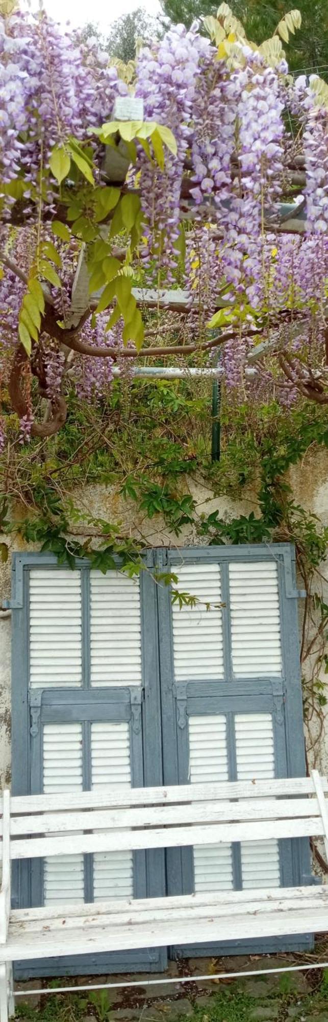 كامبوروسو Message In A Bottle Bed And Breakfast المظهر الخارجي الصورة